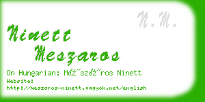 ninett meszaros business card